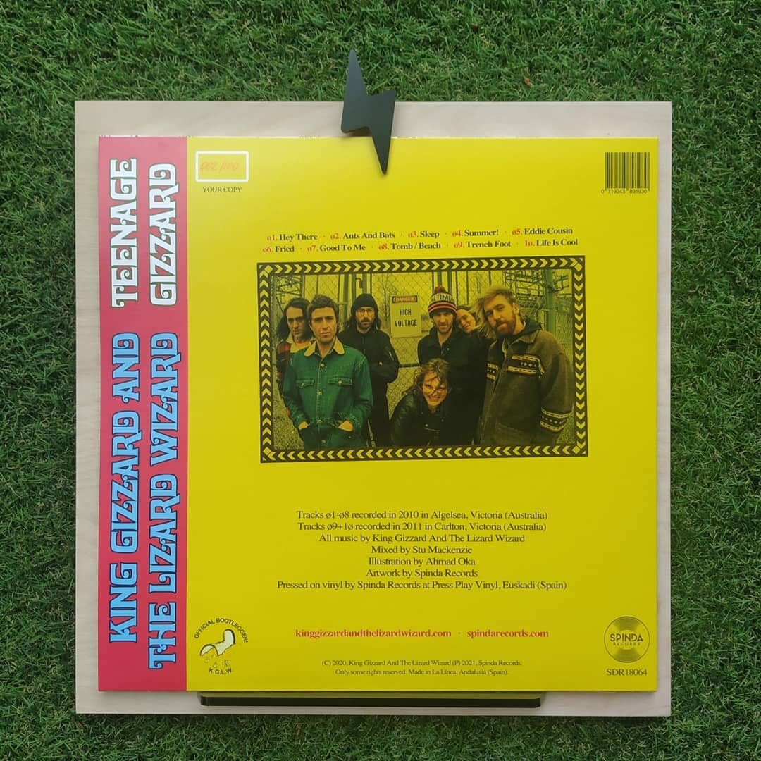 Teenage Gizzard Lizard Black LP (Bootleg by Spinda Records)